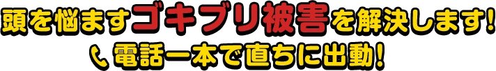 関西のゴキブリ被害を即日プロテクト！電話一本で直ちに出動します！