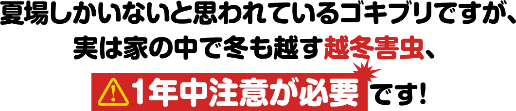 夏場しかいないと思われているゴキブリですが、実は家の中で冬も越す越冬害虫、1年中注意が必要です!
