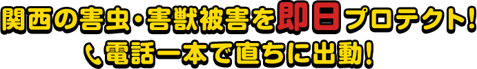 関西の害虫・害獣被害を即日プロテクト！電話一本で直ちに出動します！