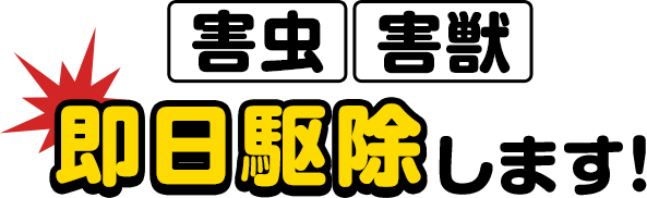 害虫・害獣即日駆除します！