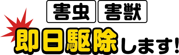 害虫・害獣即日駆除します！