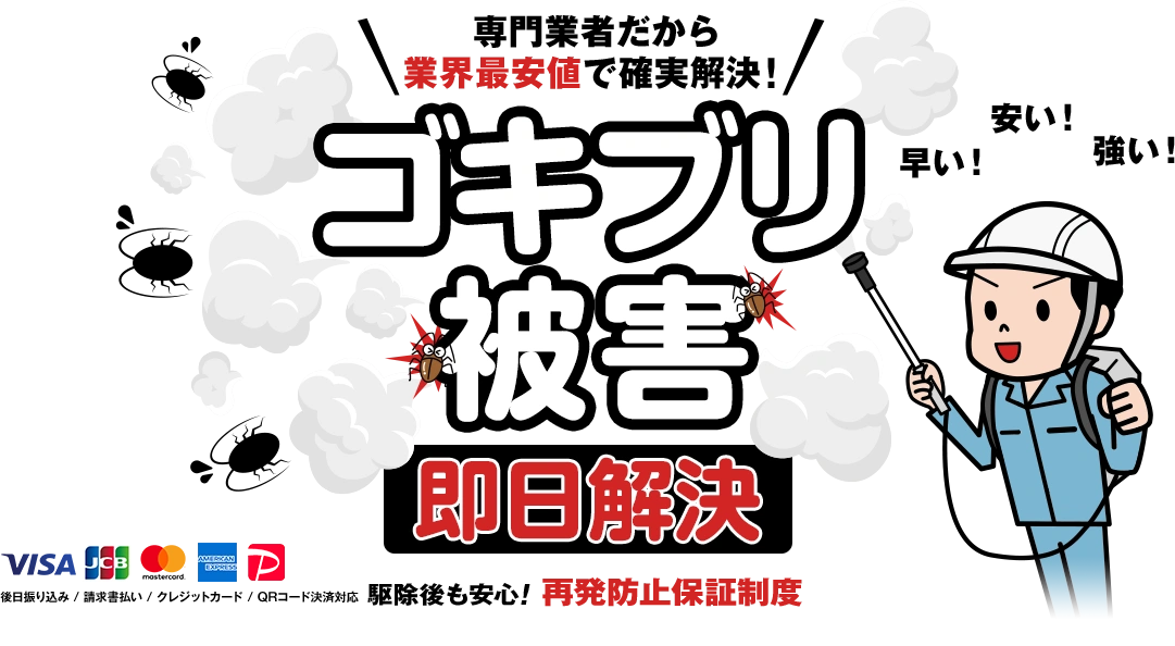 mainvisual