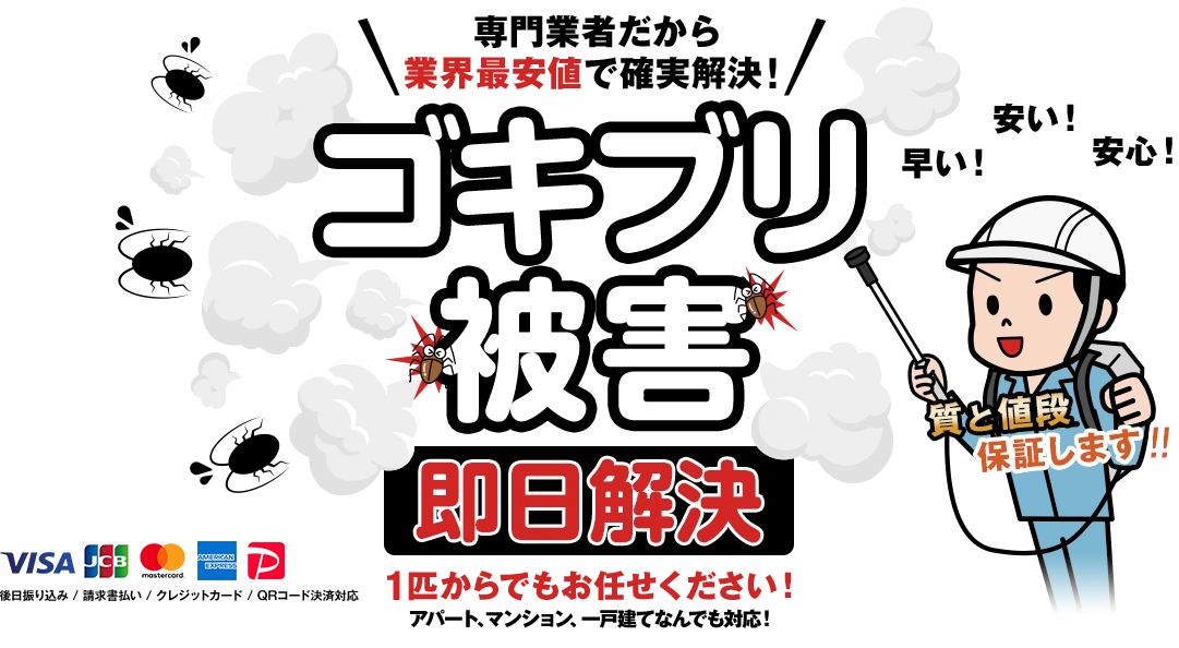 mainvisual