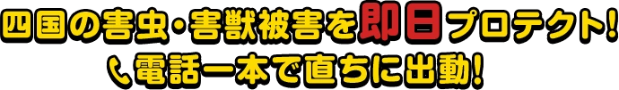 四国の害虫・害獣被害を即日プロテクト！電話一本で直ちに出動します！